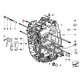 Genuine BMW Stud (11121341175)