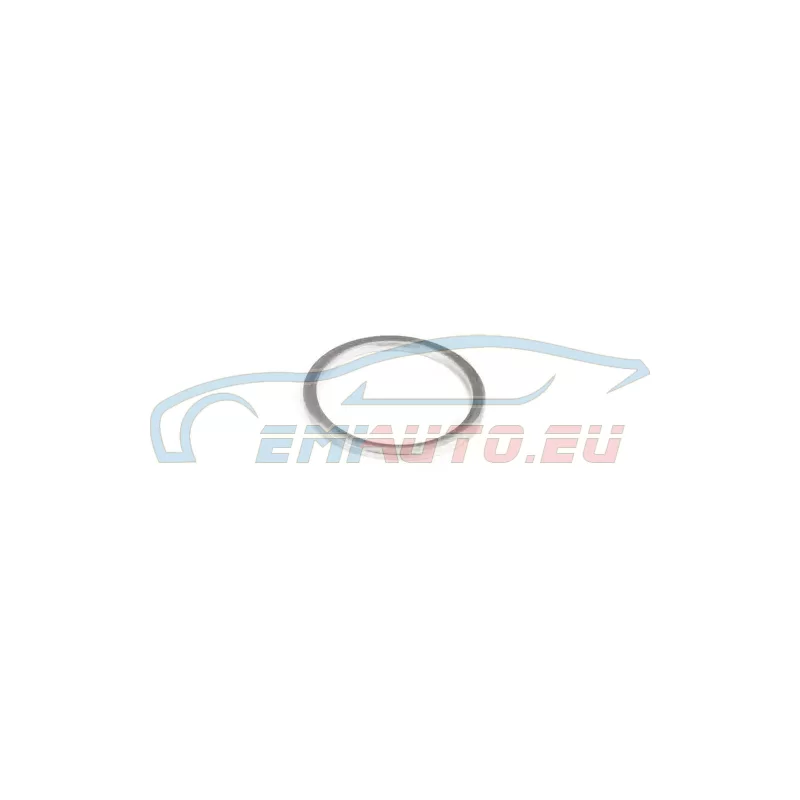 Genuine BMW Gasket ring (11318599591)