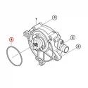Genuine BMW O-ring (11667576823)