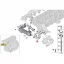 Genuine BMW Pipe (11717811788)