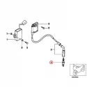 Genuine BMW Spark plug (12122343144)