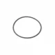 Genuine BMW O-ring (13541721086)