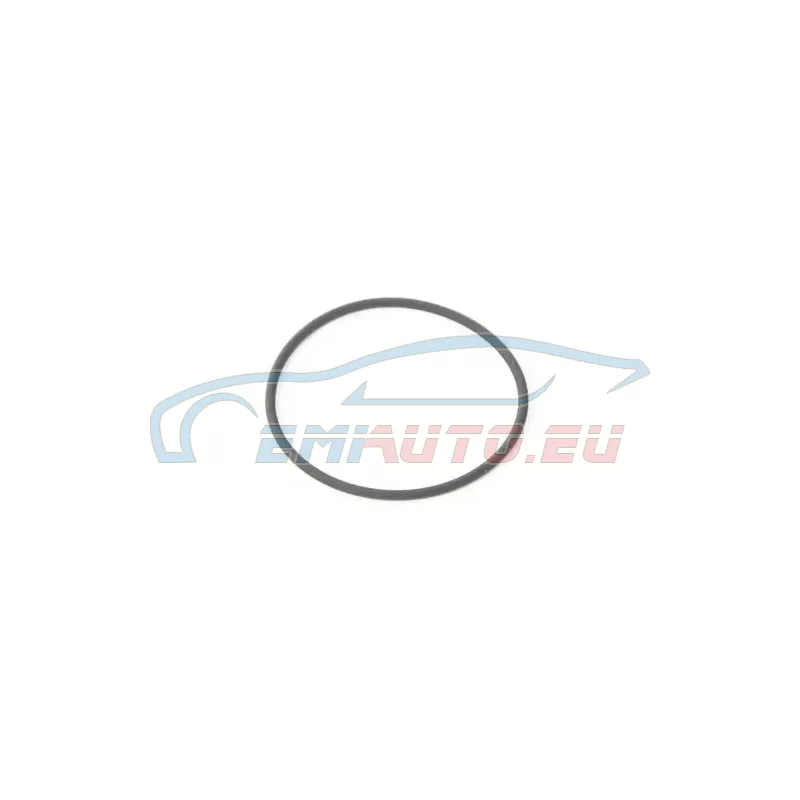 Genuine BMW O-ring (13541721086)