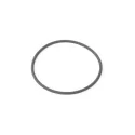Genuine BMW O-ring (13541721086)