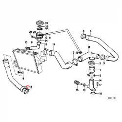 Genuine BMW WATER HOSE (17121460266)