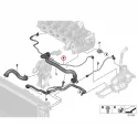 Genuine BMW (17129887040)