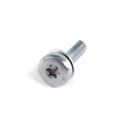Оригинал BMW Винт Torx (24101423273)