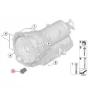 Genuine BMW Cap (24147591704)