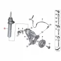 Original BMW (31306899671)
