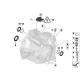 Genuine BMW Screw plug (24117570794)