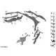 Genuine BMW Firewall, upper section (51717428165)