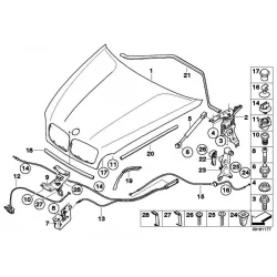 Genuine BMW Hood (41617273439)